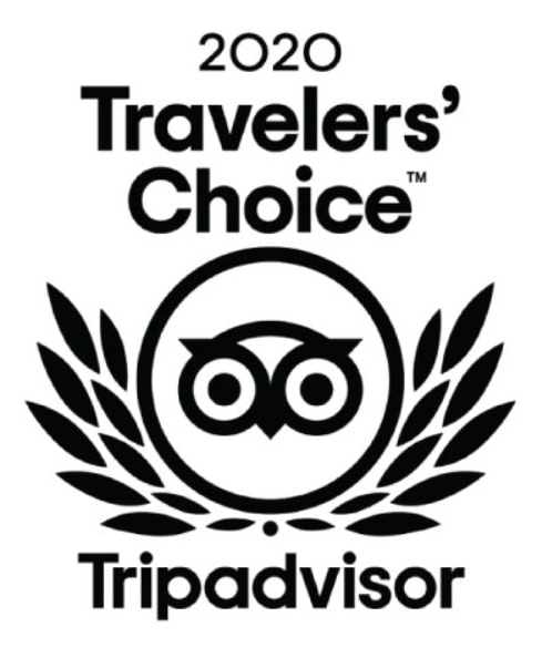 2020 Trip Advisor Travelers Choice