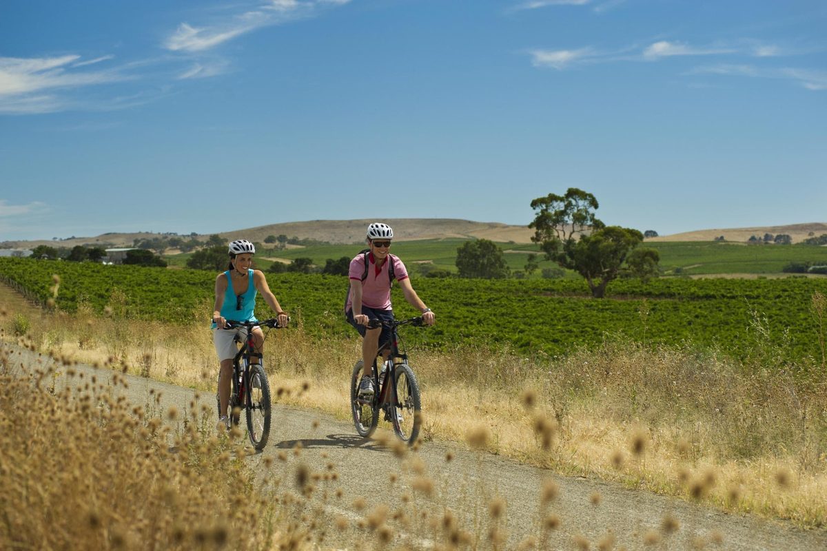 Stonewell Cottages and Vineyards cycling in the Barossa