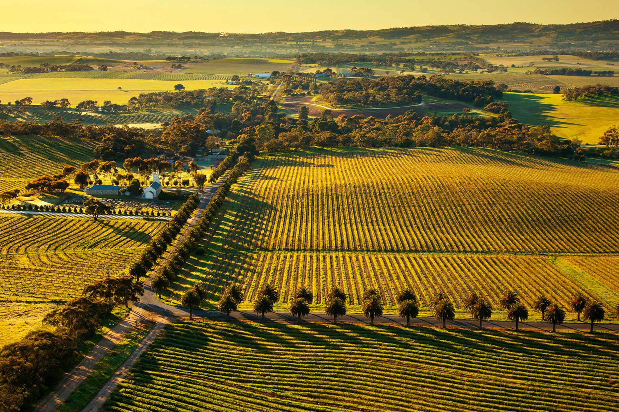 Where is the Barossa Valley? Get a Barossa Map, Then Come and Explore!