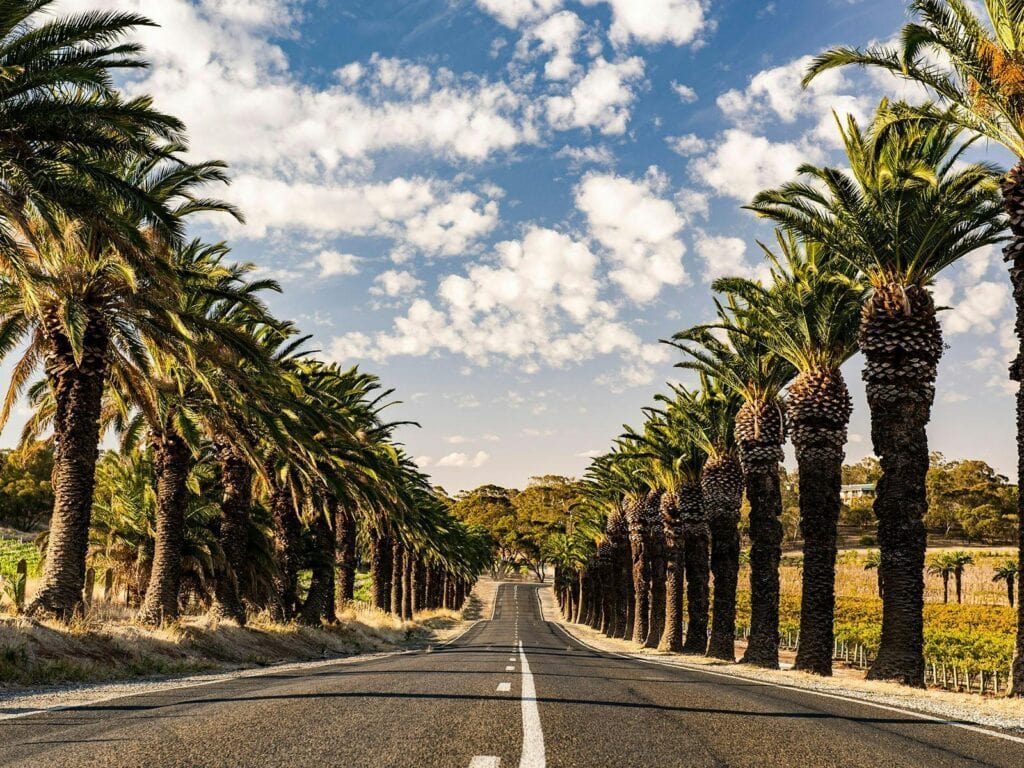 SEPPLETSFIELD RD