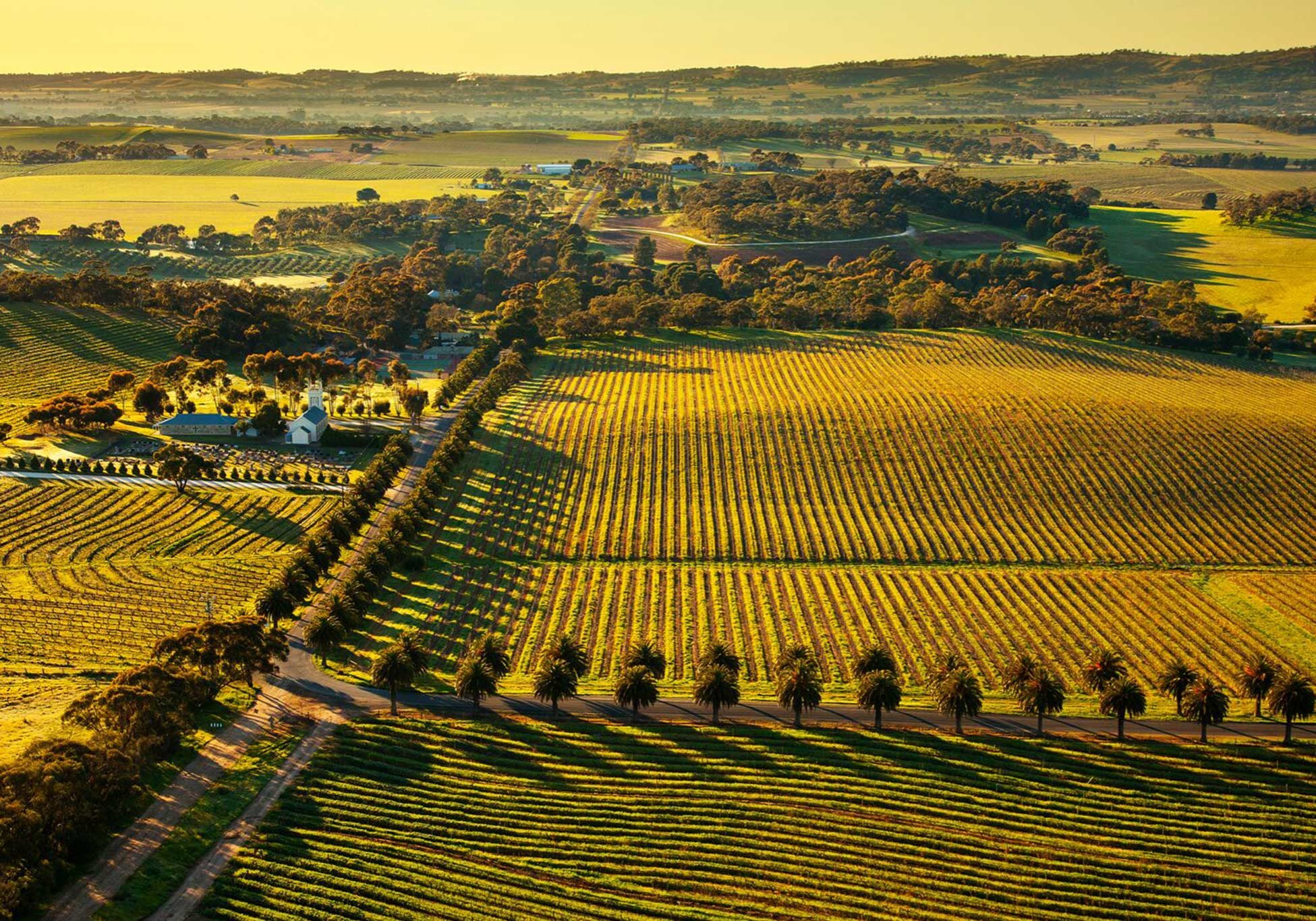 Stonewell Cottages Vineyards Barossa Experiences Seppeltsfield Road